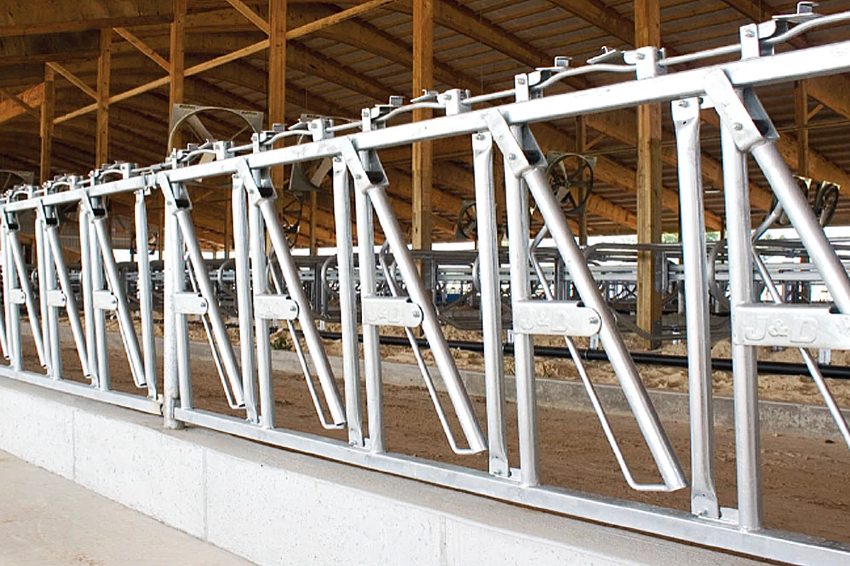 buy Cattle Headlock buy Cattle Headlock